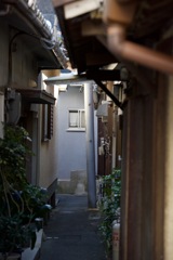 裏露地