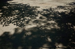 気温３８℃
