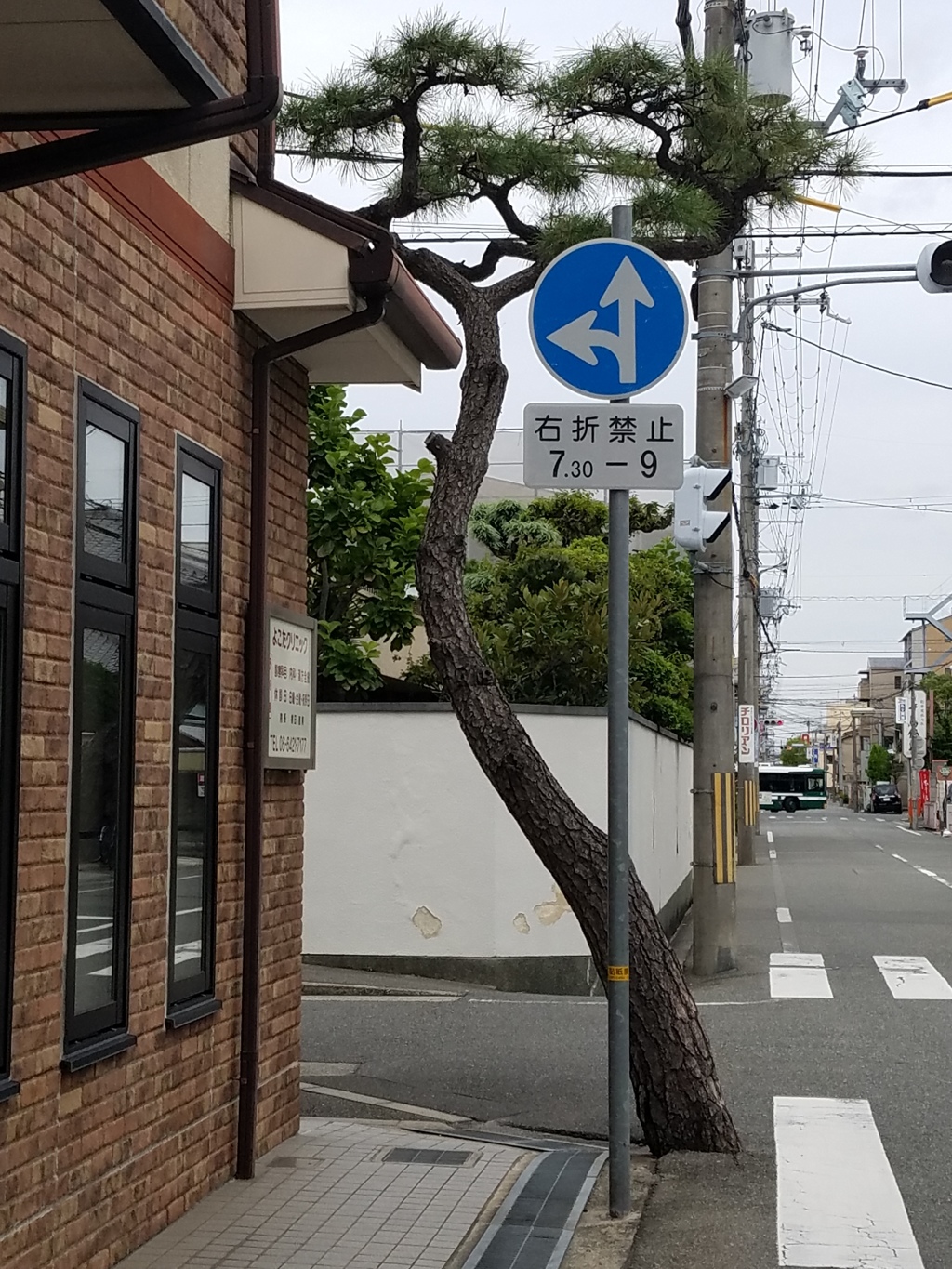 何故...?