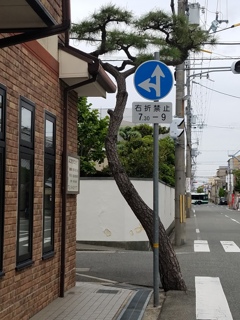 何故...?