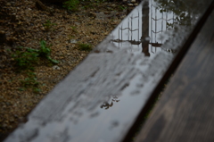 水鏡