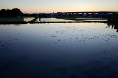 日常の夕暮れ