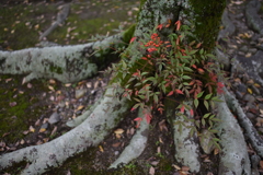 散歩・・居心地