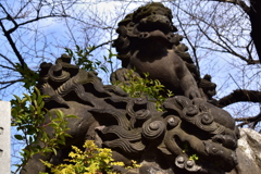 神田明神 石獅子