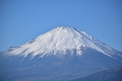 FUJIｻｰﾝ