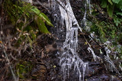 氷柱