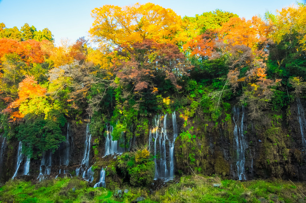 白糸の滝
