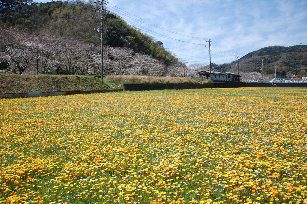 松崎町