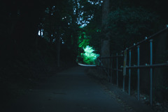 裏道