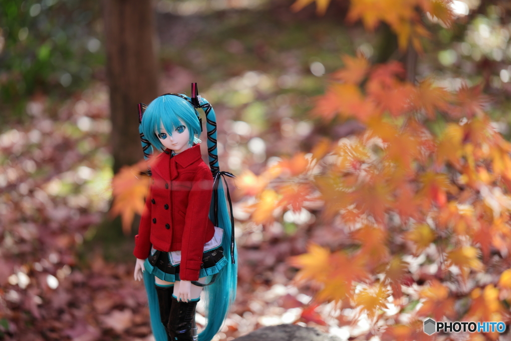 DDミクさんと紅葉