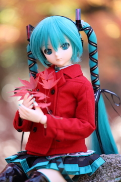 DDミクさんともみじの葉