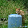 水飲み場