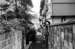 広島の隠れ小道