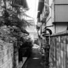 広島の隠れ小道