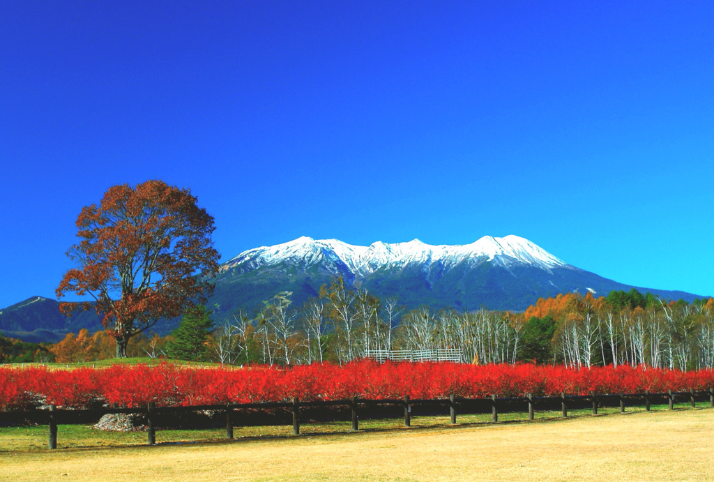 初冬の木曽御岳山　1