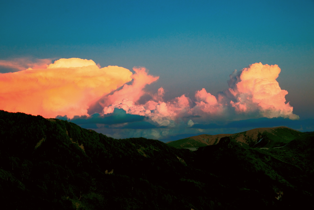 綺麗な入道雲