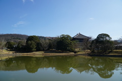 奈良市。大仏池と大仏殿。