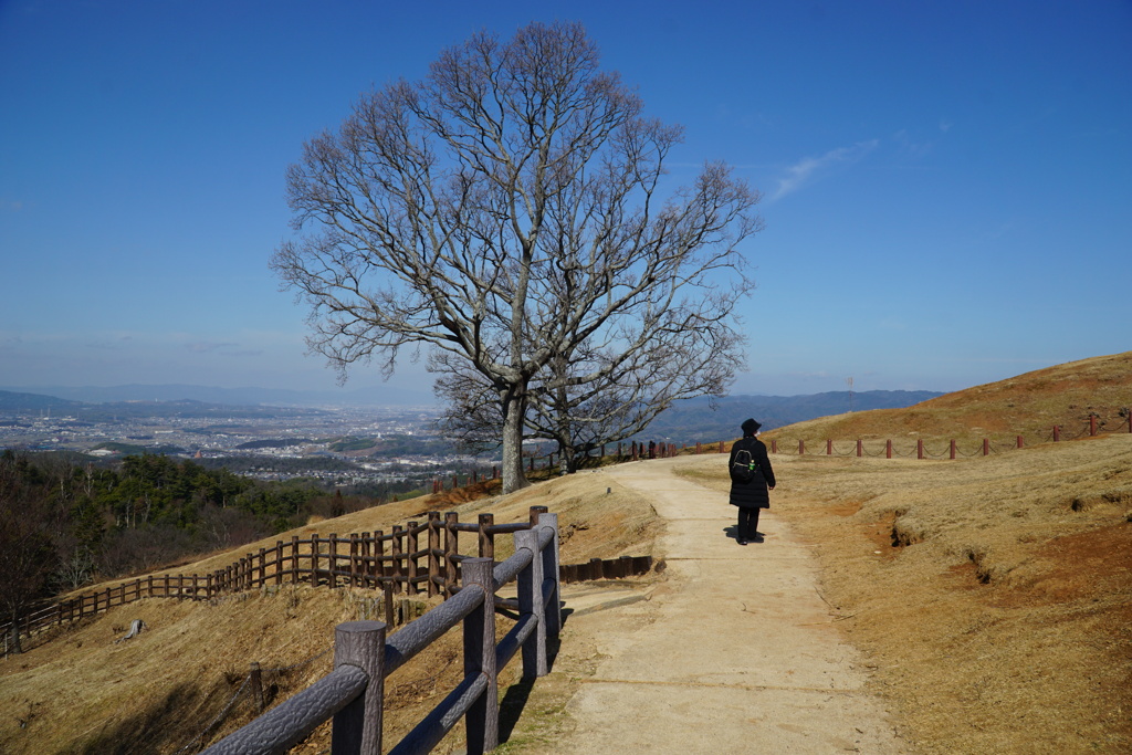 奈良市。若草山・私は奈良派。