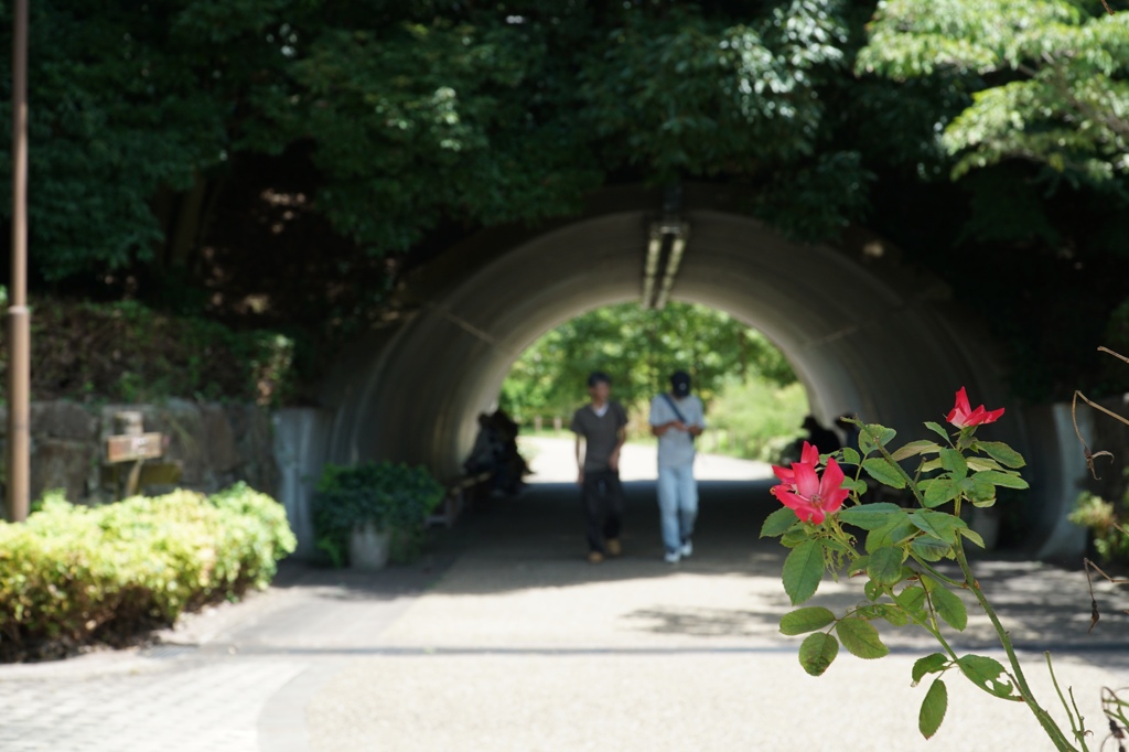 馬見丘陵公園