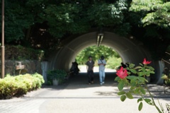 馬見丘陵公園