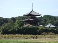 奈良県斑鳩町　法起寺