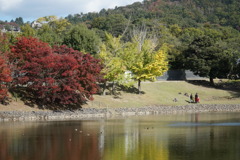 奈良公園 大仏池２