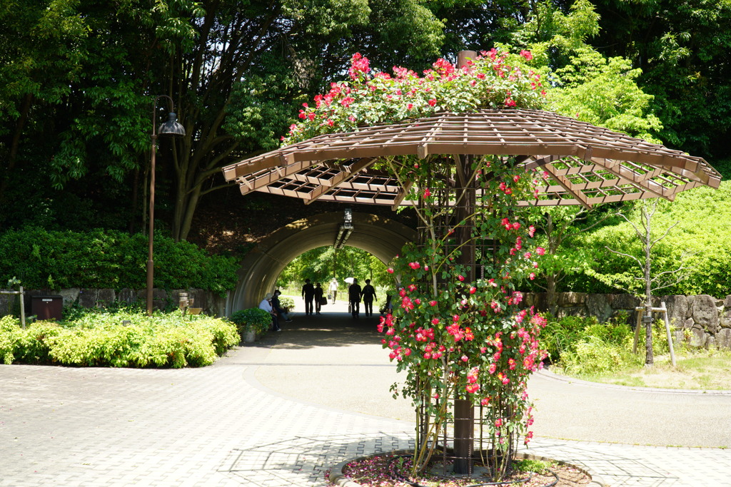 奈良県 馬見丘陵公園。