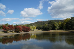 奈良公園 大仏池