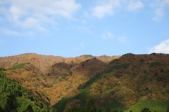 紅葉
