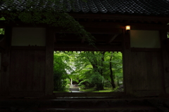 門