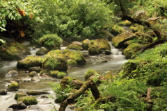 元滝伏流水