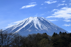 富士山