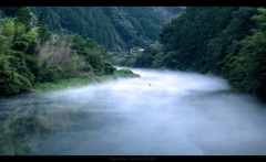 川にかかる霧