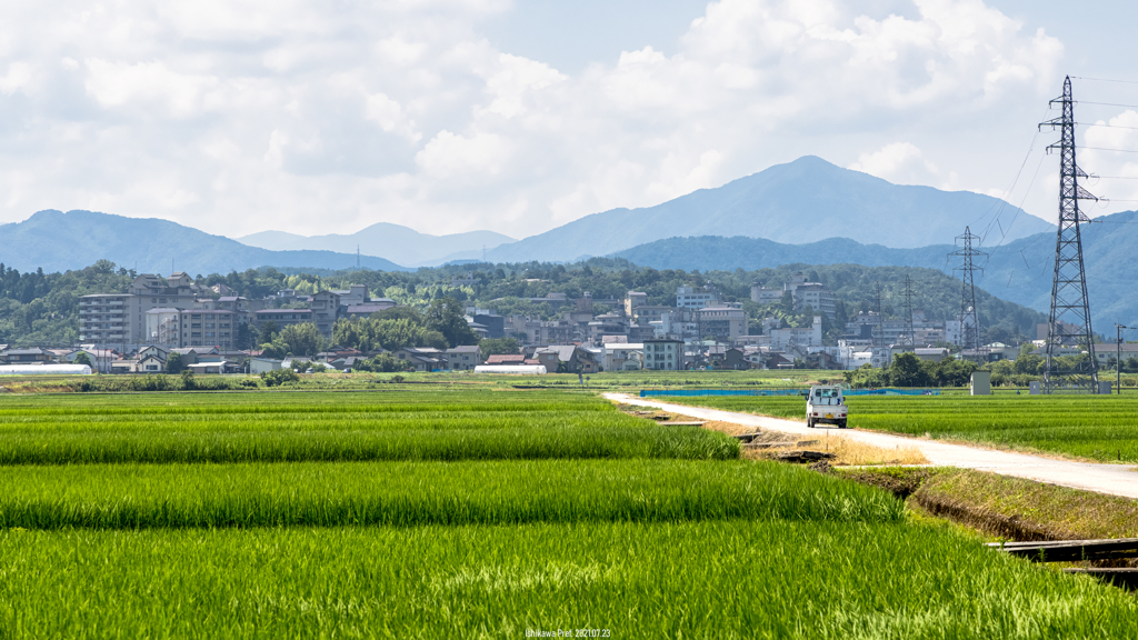 福井の夏