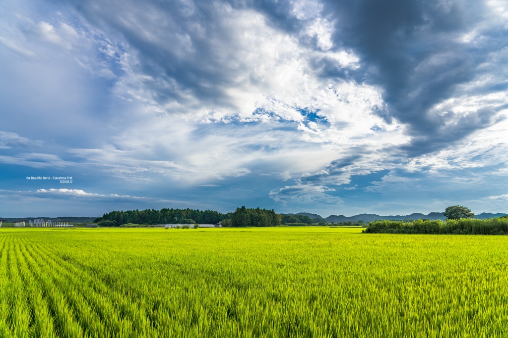  the Beautiful World-Fukushima