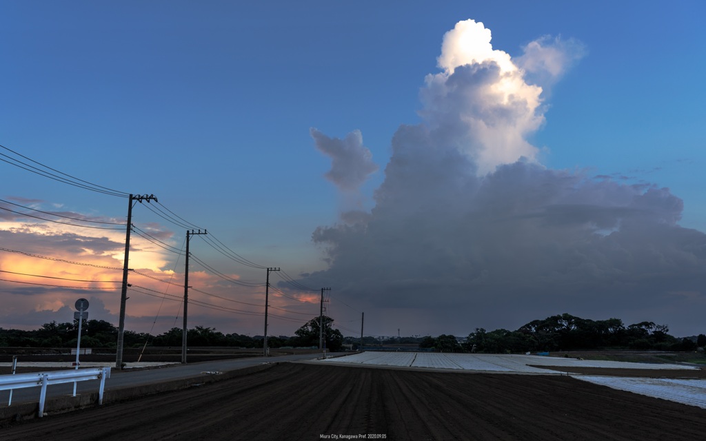 夏雲