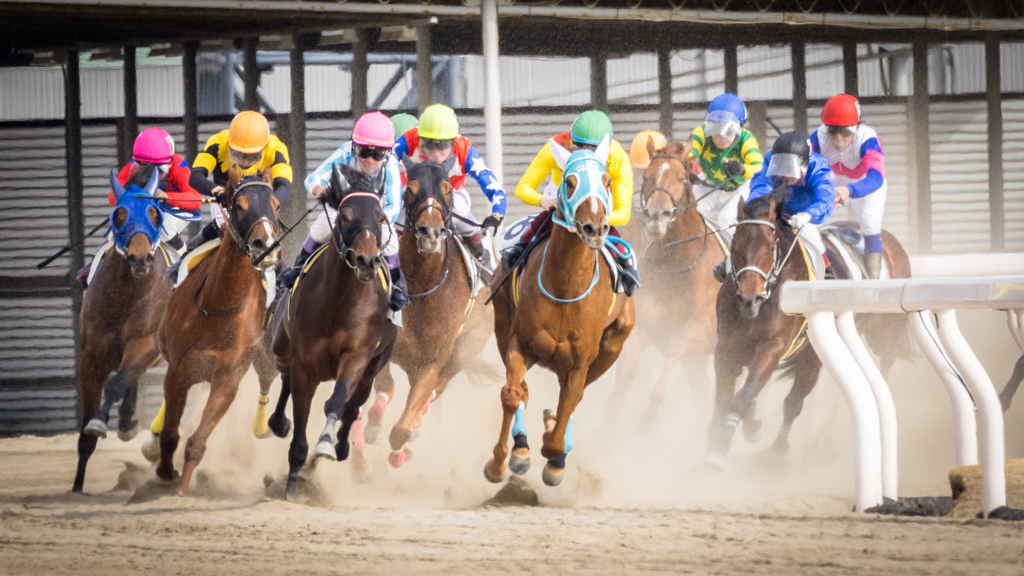 川崎競馬　第４コーナー