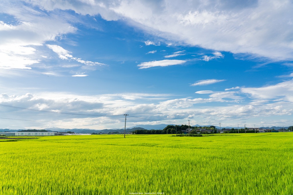 清々しい天気