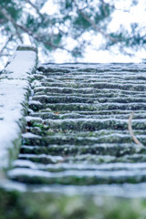 冬の階段