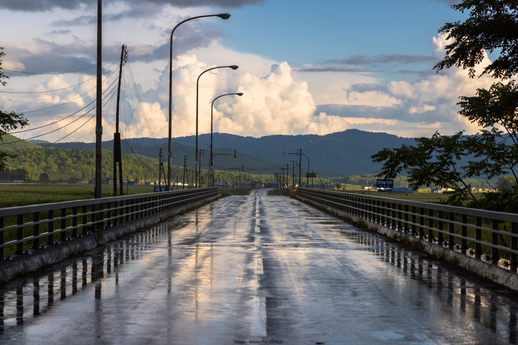 雨の道