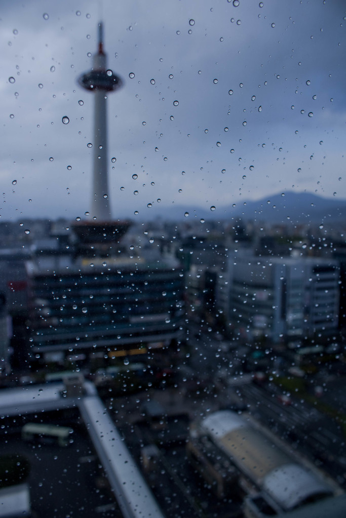 あいにくの天気