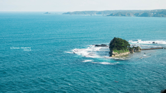 伊豆半島の海