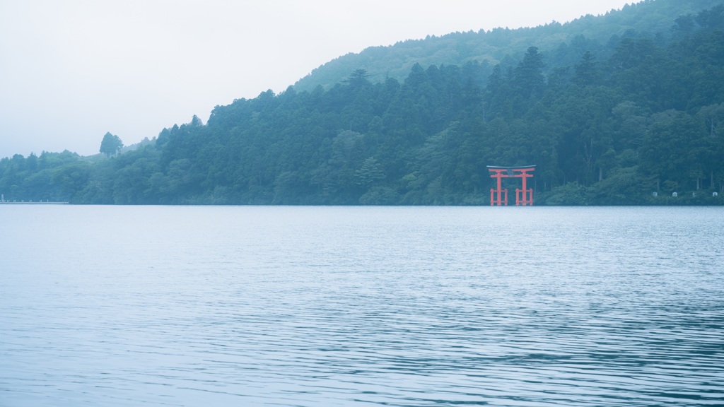  朝霧の鳥居