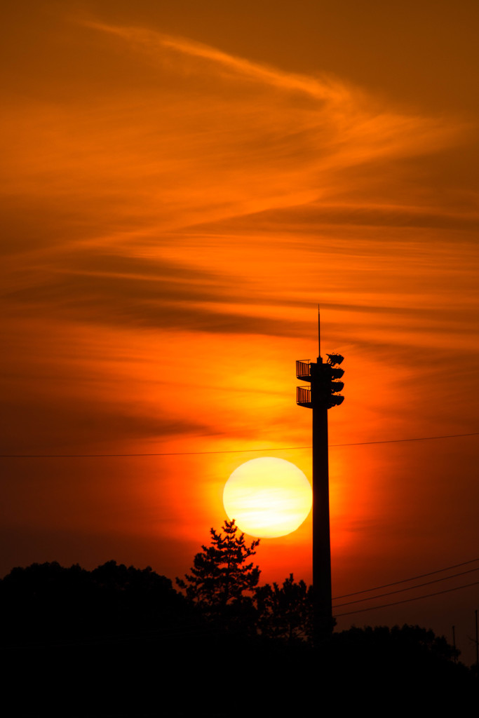 夕日です。