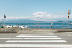 横断歩道