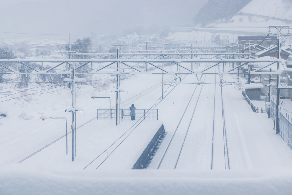 雪の中