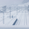 雪の中
