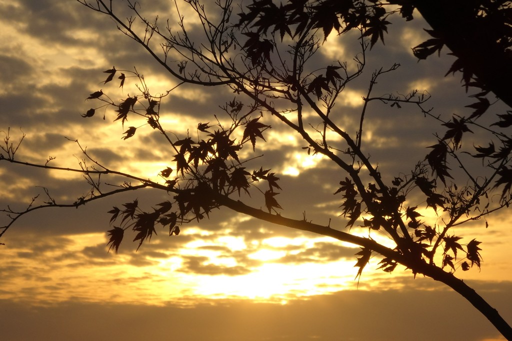 夕焼けと紅葉