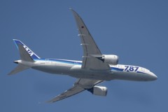 787を見上げて