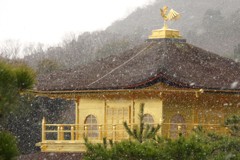 雪の舞う金閣寺